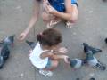 videos de paalomarr