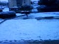 Neige