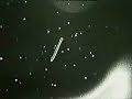 UFO NASA accidente de la nasa