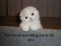 Everything-s-Fine-Fu
