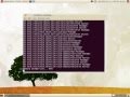 Installing LTSP on Edubuntu 10.04