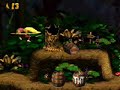 Donkey Kong Country 2 - Ghostly Grove Speedrun