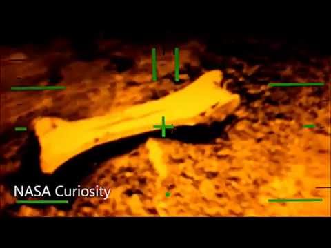 Mars (Planet) - NASA News: Mars Life Search Mission 2013 - JPL Curiosity video - PASADENA, California - Triceratops Bones Found - NASA's Mars rover Curiosity has relayed new...