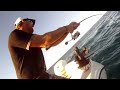 Hammerhead on Light Tackle