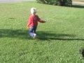 Herschel the English Bulldog Puppy Playing
