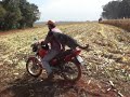 Cachorro Motoqueiro