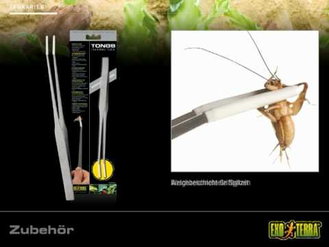 EXO TERRA Lock - Terrarienschloss & Tongs - Futterpinzette