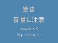 ロックマンエグゼ5DS ツインリーダーズ