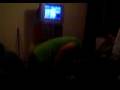chuiman 077video