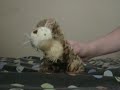 How To Get FREE Webkinz Kinzcash, AND Exclusive items!