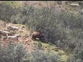 Ver vídeo