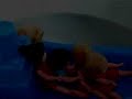 groupe improbable des ann�es 80-90, 2 albums au label inpolysons.
clip magnifique offert en bonus sur l'album 