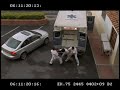clips del film l´mental