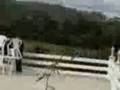 videos de cumpleaños de pollo
