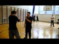 Shuai seminar Helsinki 2008