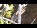 croisi�re en voilier - �les d\