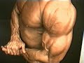 Muscle veins