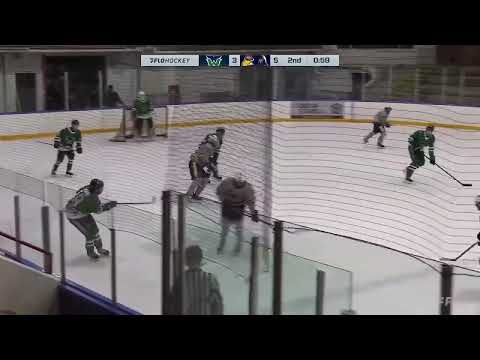 24-25 Season (Second Half) Brandon Petrie #7 "|Right Shot Dman  | Delta Ice Hawks