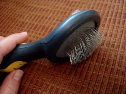 Cat Slicker Brush by JW Pet Company Review