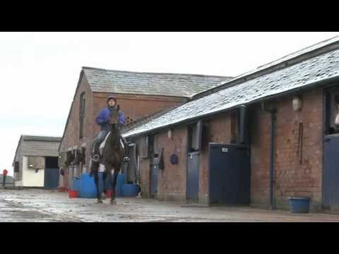 grand national betting