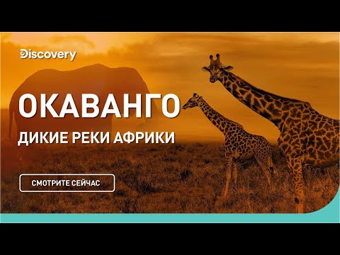 Окаванго - Дикие реки Африки