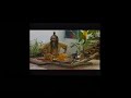Goa Gil - The essence of the Trance dance experience
