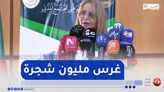 رئيسة المرصد الوطني :  سنطلق مبادرة ضخمة بالإشتراك مع وزارة الفلاحة لغرس مليون شجرة
