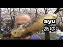 Guzen Video Japan-Hanami, Takoyaki, and Ayu