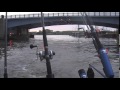Salmon Fishing 1