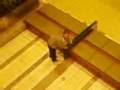 videos de Video-0008