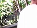 Jungle Cruise Tour!!! @ Magic Kingdom