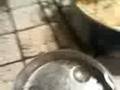 videos de Ricetta: riso italocinese (parte 3/3)