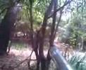 Paintball @ camacha
