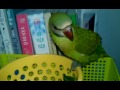 Click here to watch this video VIDEO0032.3gp