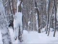 Rider.Steve lost agin'in da trees at Jay Peak