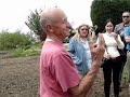 Poda del pimiento