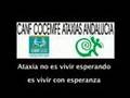 ACTIVIDADES DE ATAXIA EN EL 2006