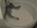 catgenie   cleaning cycle