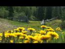 British Columbia