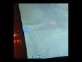 beatmaniaIIDX-GOLD-F