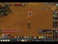 29 Paladin Tweak