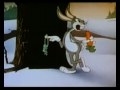 Whats up doc