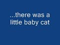 kitten