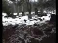 Kirkut w Olkuszu (Jewish cemetery in Olkusz)