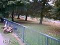 videos de autumn by the canal, 15-10-08