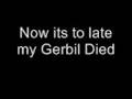 videos de Gerbil - Stephen Lynch (With Lyrics)
