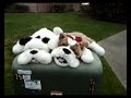 Pug story