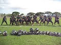 HYW Midgets 2007