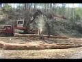 My Loggers Hard At Work My Loggers Hard At Work