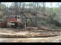 My Loggers Hard At Work